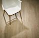 Forbo Allura Flex 1.0 Wood 60064FL1 whitewash elegant oak (120 x 20 cm)