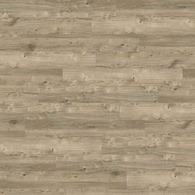 Amtico Click Smart Wood Sun Bleached Oak SB5W2531 Sun Bleached Oak