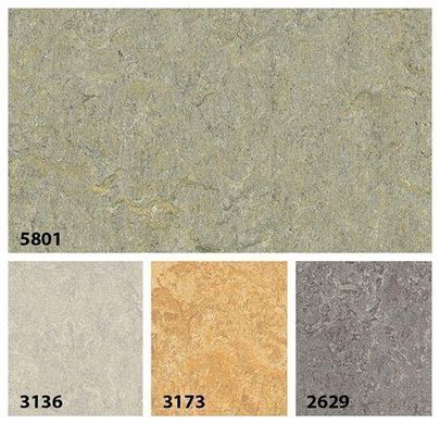 Forbo Marmoleum Marbled Terra 5801 river bank river bank