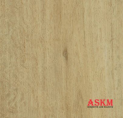 Forbo Allura Decibel 0.35 Wood 5113AD3 summer harvest oak (100x16.6 cm) summer harvest oak