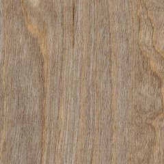 Amtico Spacia Wood Bleached Elm SS5W2516 Bleached Elm