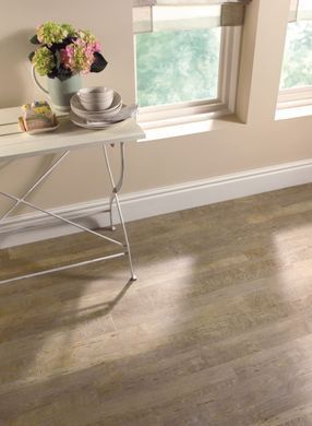 Amtico Spacia Wood Bleached Elm SS5W2516 Bleached Elm
