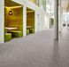 Forbo Flotex Colour s290012 Calgary cement