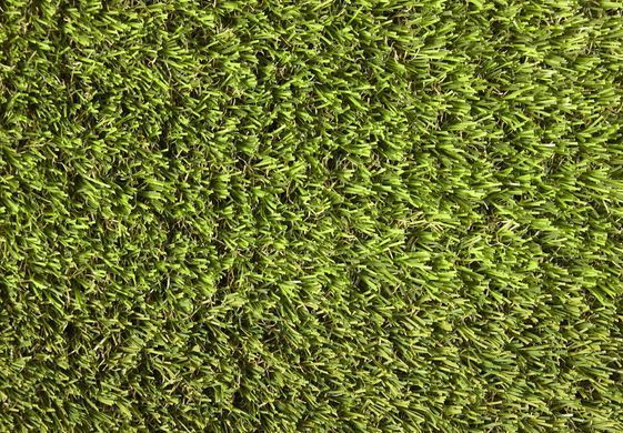 Pro Lawn Multi Lane Lux