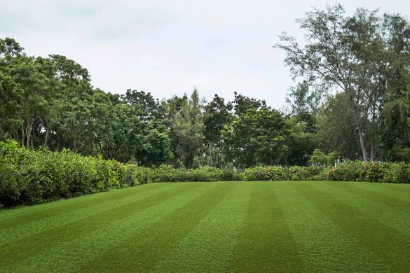 Pro Lawn Multi Lane Lux
