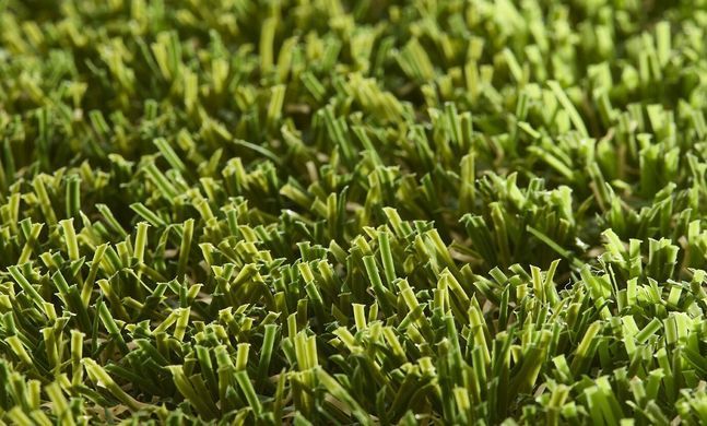 Pro Lawn Multi Lane Lux