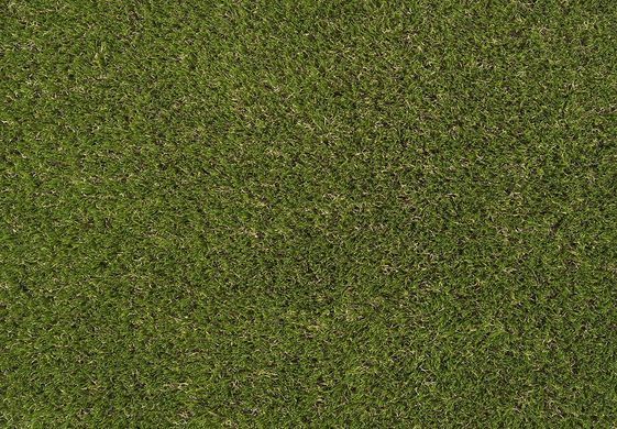 Pro Lawn Linden