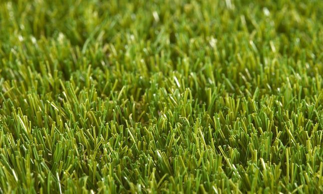 Pro Lawn Linden