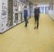 Forbo Marmoleum Decibel on order 341335 green melody
