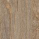 Amtico First Wood Bleached Elm SF3W2516 Bleached Elm