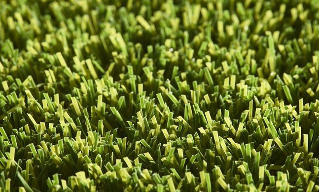 Pro Lawn Florence