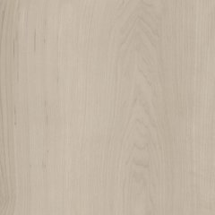 Amtico Spacia Wood White Maple SS5W2654 White Maple