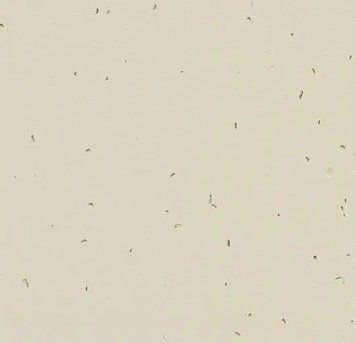 Forbo Sphera Energetic 50221 linen linen