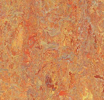 Forbo Marmoleum Decibel on order 340335 Asian tiger Asian tiger