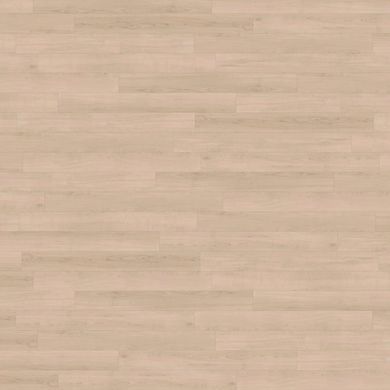 Amtico Spacia Wood White Maple SS5W2654 White Maple