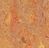 Forbo Marmoleum Decibel on order 340335 Asian tiger Asian tiger