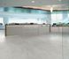 Polyflor Expona Flow PUR Silvered Pine 9836