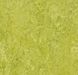 Forbo Marmoleum 2.0 3224 chartreuse