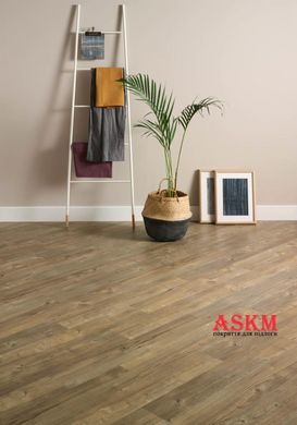 Amtico First Wood Dry Cedar SF3W2535 Dry Cedar