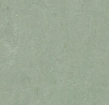 Forbo Marmoleum Decibel on order 389135 sage sage