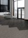 Amtico Entryway Charge Static EECH034365