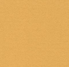 Forbo Flotex Borders 211099/232099 gold gold