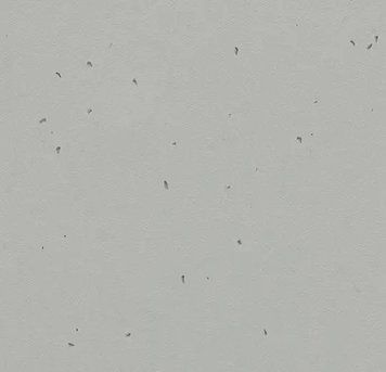 Forbo Sphera Energetic 50202 concrete concrete