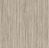 Forbo Modul'up Compact Wood 311UP43C light grey zebrano light grey zebrano