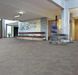 Forbo Allura Flex 1.0 Material 62512FL1 natural concrete (100 х 100 cm)