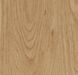 Forbo Allura Click Pro 60065CL5 honey elegant oak