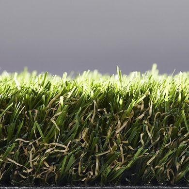 Easy Lawn Rosemary