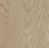 Forbo Allura Dryback 0.4 Wood 60064DR4 whitewash elegant oak whitewash elegant oak