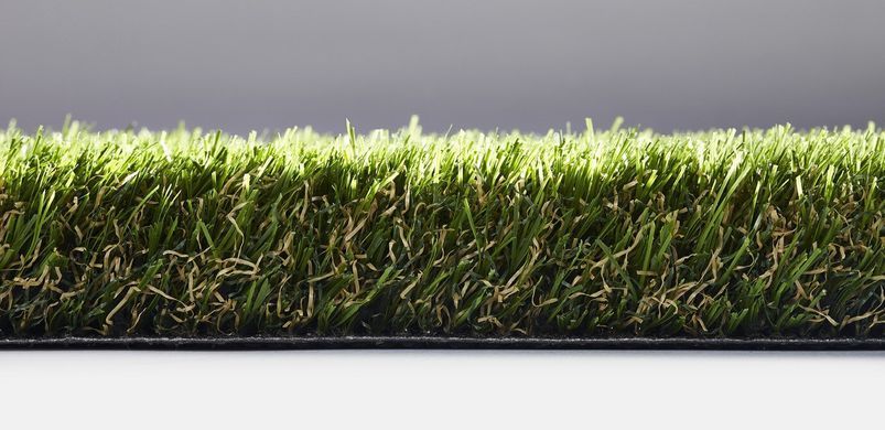 Easy Lawn Rosemary