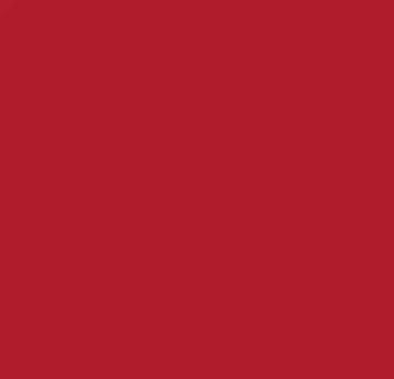 Входная система Forbo Coral Logo 39 39