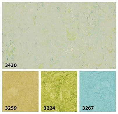 Forbo Marmoleum Marbled Splash 3430 salsa verde salsa verde