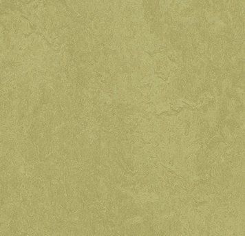Forbo Marmoleum Decibel on order 326535 avocado avocado
