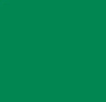 Входная система Forbo Coral Logo 40 40