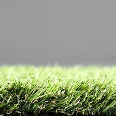 Easy Lawn Anica