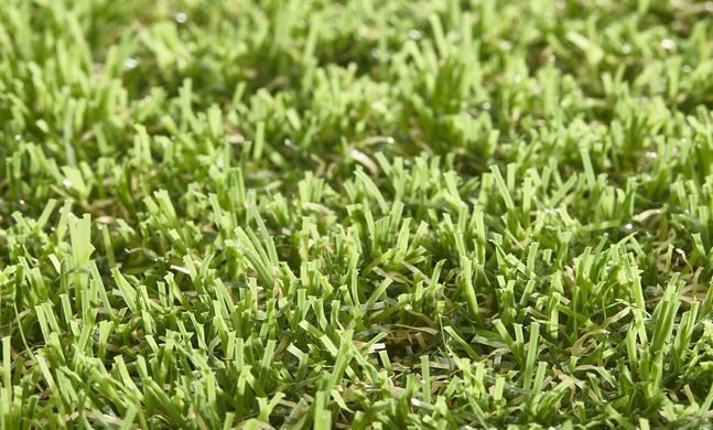 Easy Lawn Anica