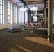 Forbo Flotex hospitality & leisure Geometric / Graphic 252103 Trianon Natrium