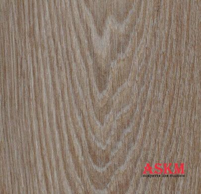 Forbo Allura Dryback Wood 63410DR7/63410DR5 hazelnut timber hazelnut timber