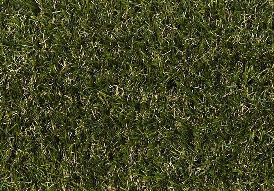 Easy Lawn Botanic