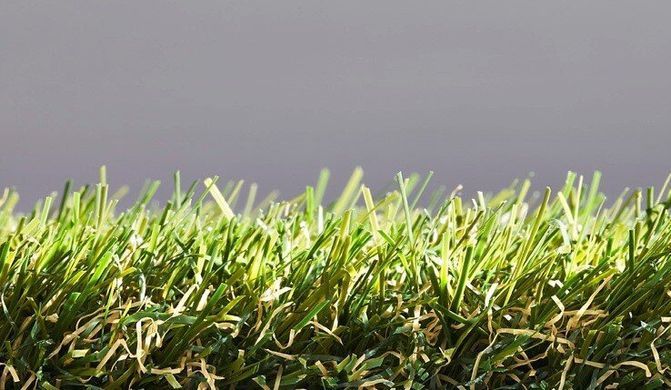 Easy Lawn Botanic