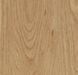 Forbo Allura Dryback 0.55 Wood 60065DR5 honey elegant oak