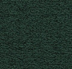 Вхідна система Forbo Coral Classic 4768 hunter green hunter green