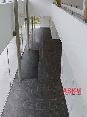 Amtico Entryway Recoarse Bypass Black EERC001518 Recoarse Bypass Black