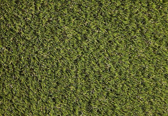 Easy Lawn Valeria