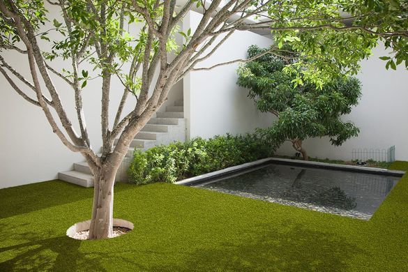 Easy Lawn Valeria