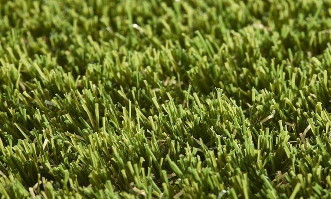 Easy Lawn Valeria