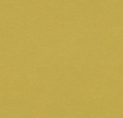 Forbo Marmoleum Modular t3362 yellow moss yellow moss